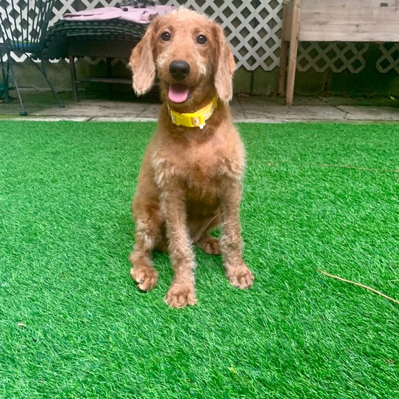 💅🏻🦋💄Ashley Jennifer🦄👛🧝🏻‍♀️ - Picture 15 of 15